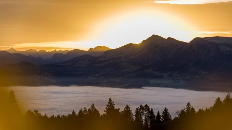 Ferienwohnungen Schantl ชอปเปอร์เนา ภายนอก รูปภาพ