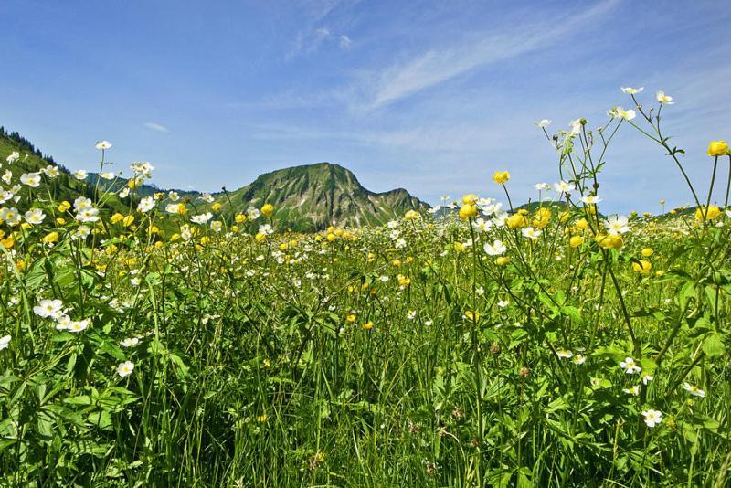 Ferienwohnungen Schantl ชอปเปอร์เนา ภายนอก รูปภาพ