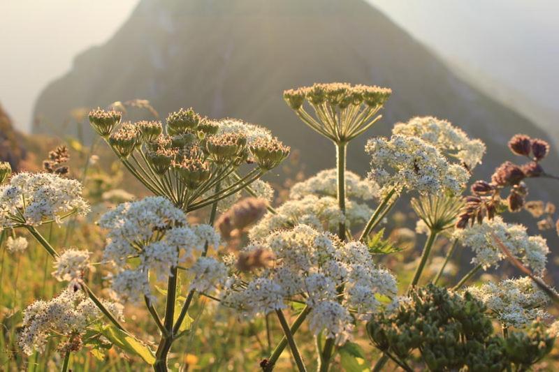 Ferienwohnungen Schantl ชอปเปอร์เนา ภายนอก รูปภาพ