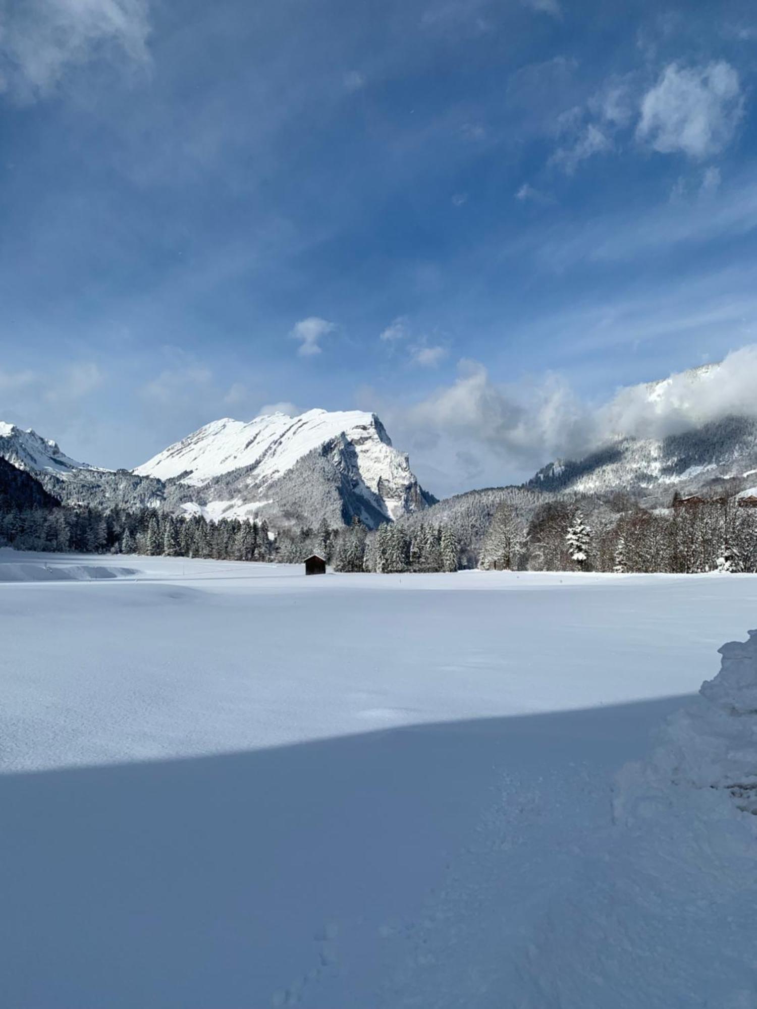 Ferienwohnungen Schantl ชอปเปอร์เนา ภายนอก รูปภาพ
