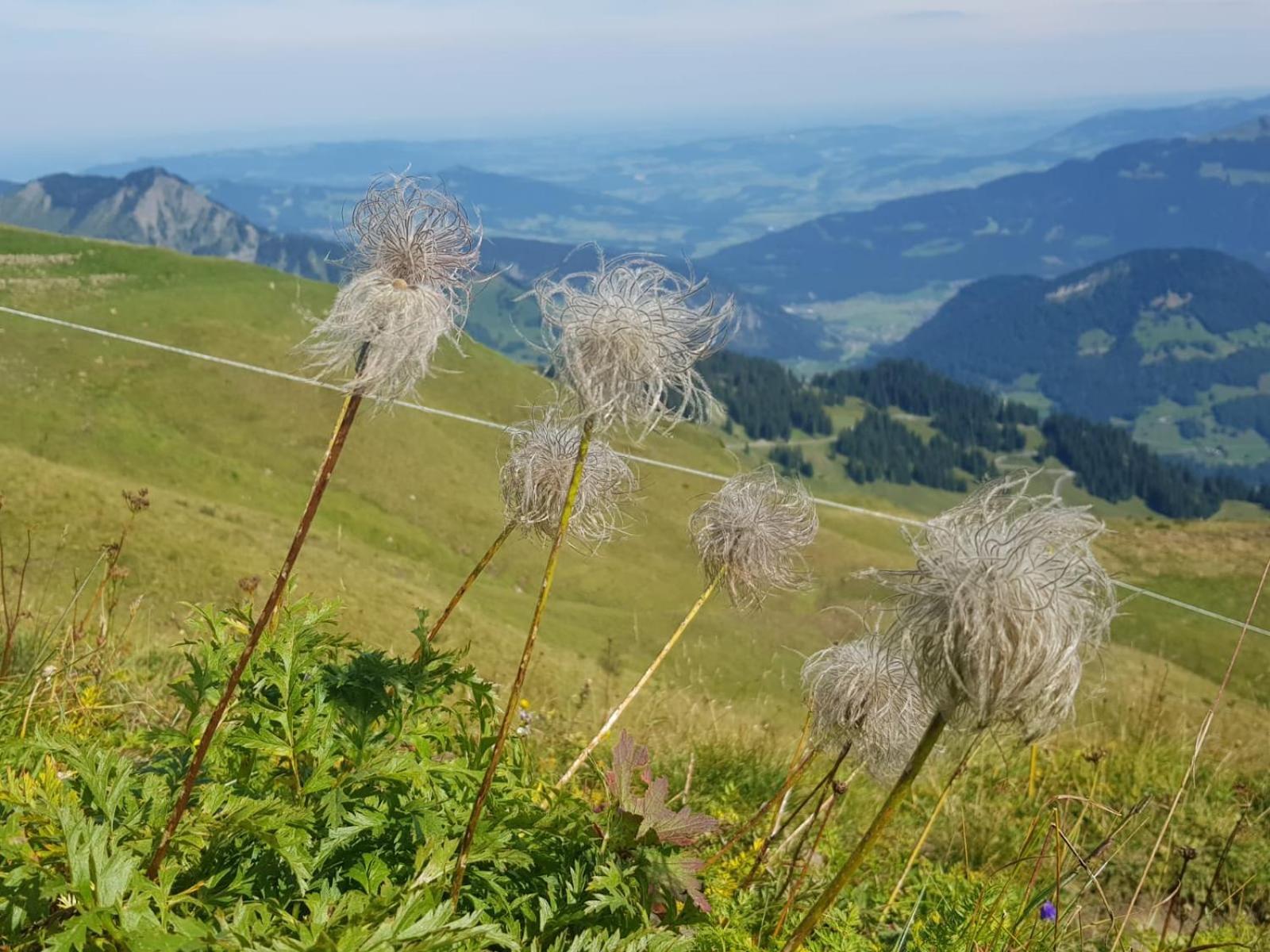 Ferienwohnungen Schantl ชอปเปอร์เนา ภายนอก รูปภาพ