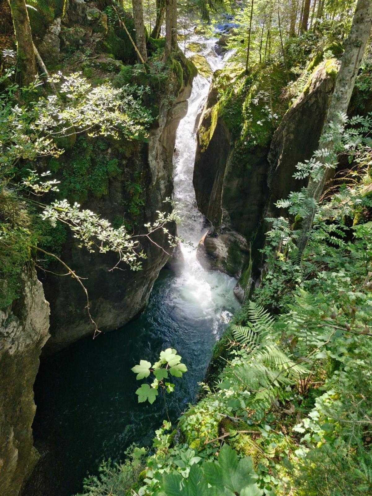 Ferienwohnungen Schantl ชอปเปอร์เนา ภายนอก รูปภาพ